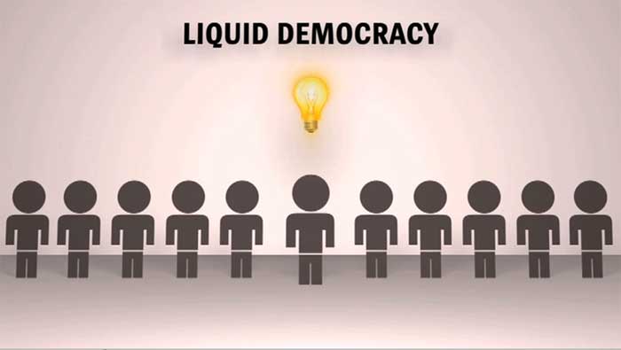 Liquid-democracy